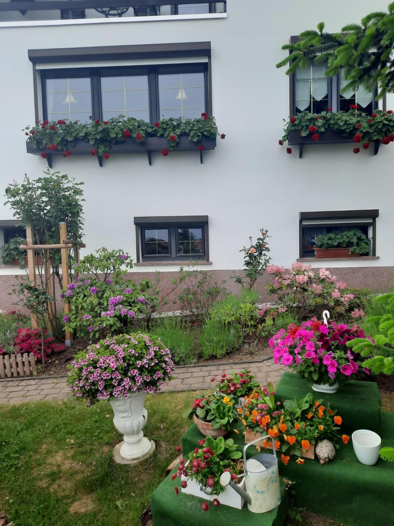Ferienwohnung"Harzliebe" Gernrode  ภายนอก รูปภาพ